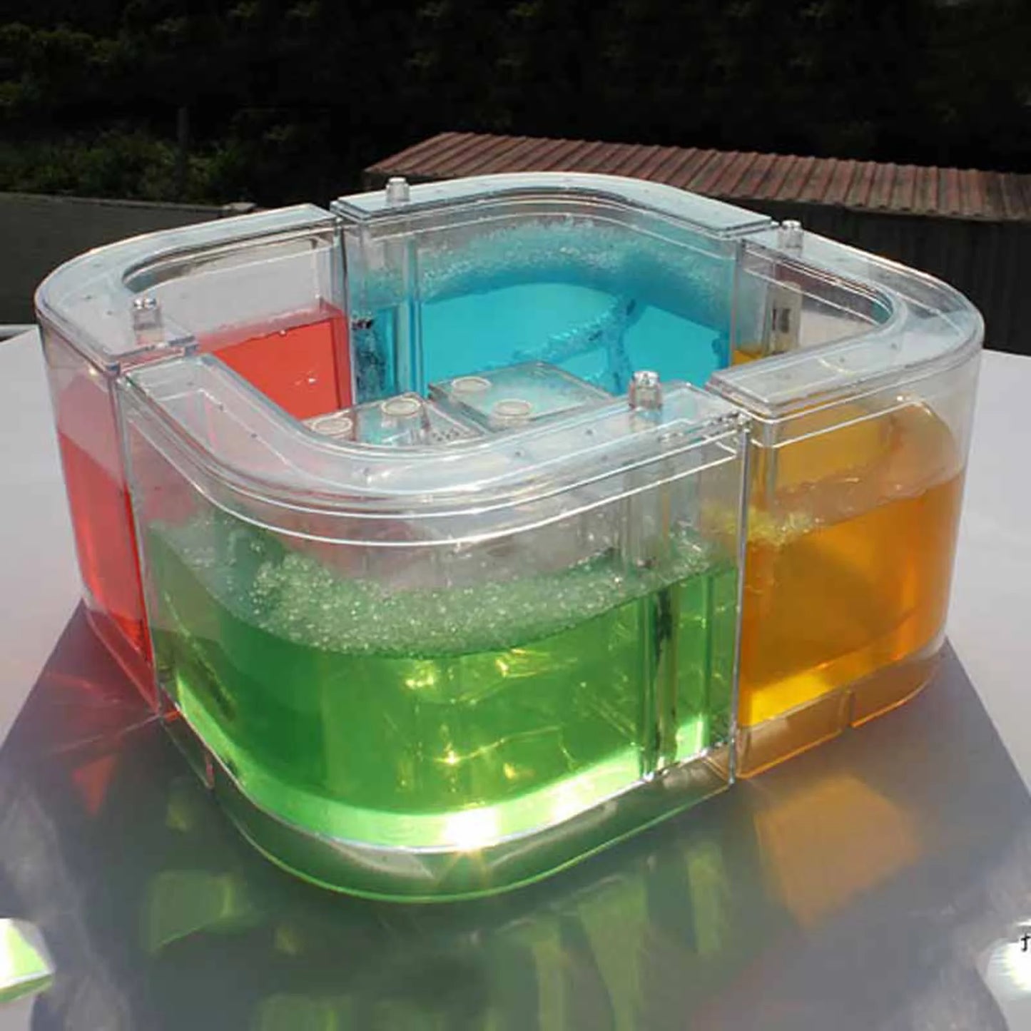 3D Ant Farm Maze Educational & Learning Kit