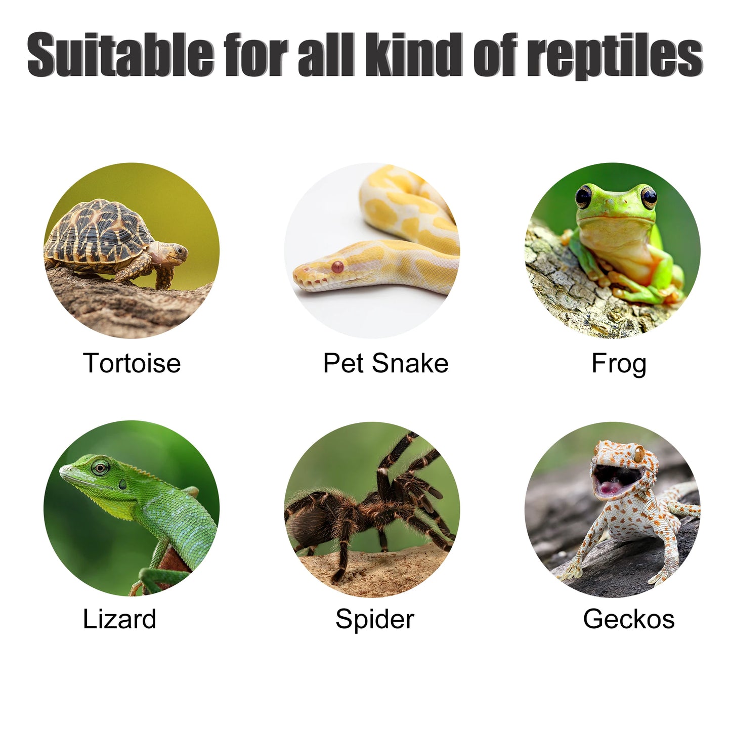 Reptile Island Turtle Basking Platform Tank Habitat Accessories
