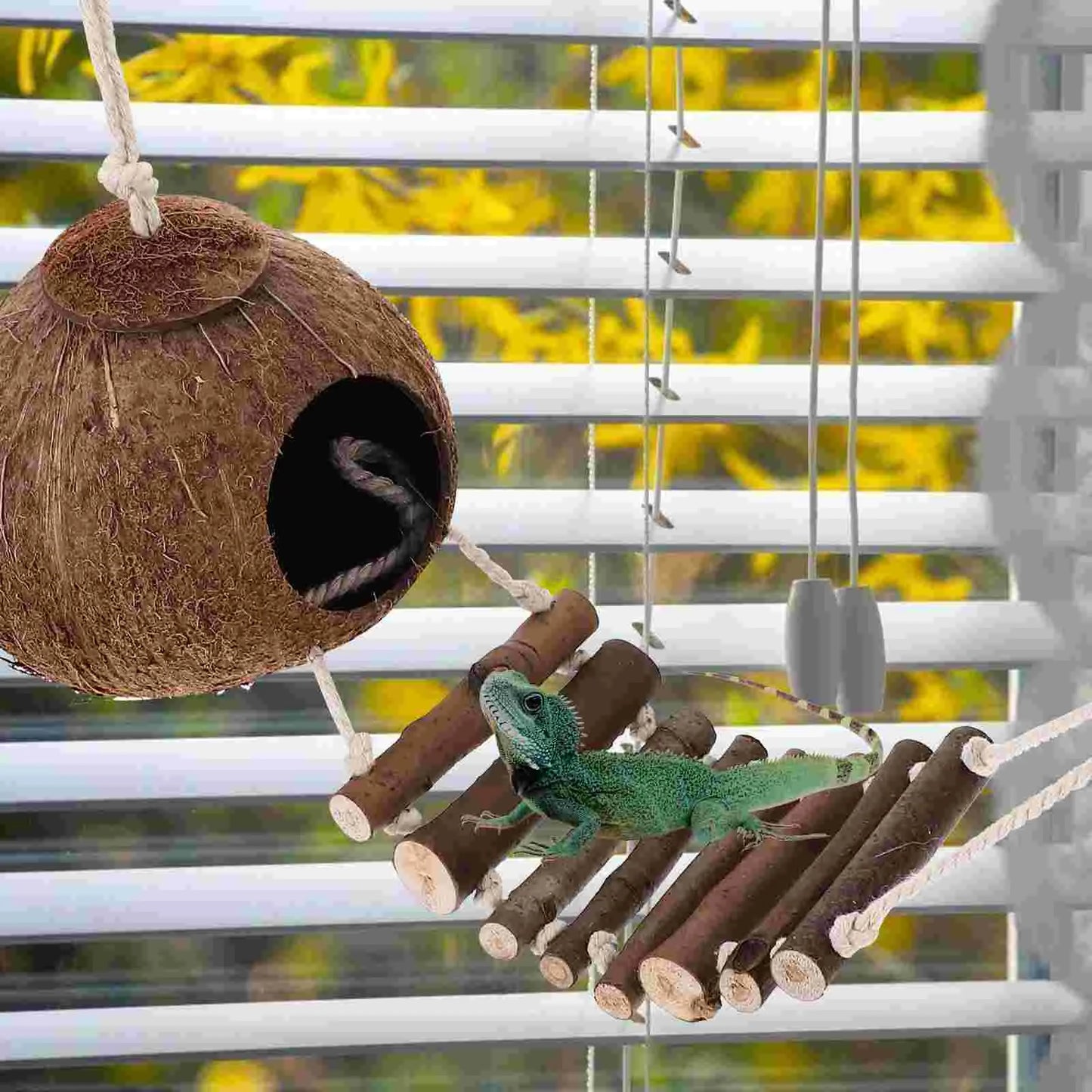 Hermit Cave Habitat with Ladder Hanging Ring Coconut Shell
