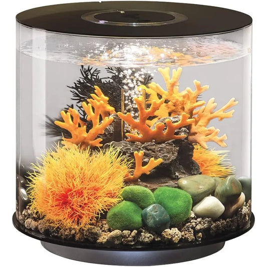 Aquariums and Fish Tanks Black