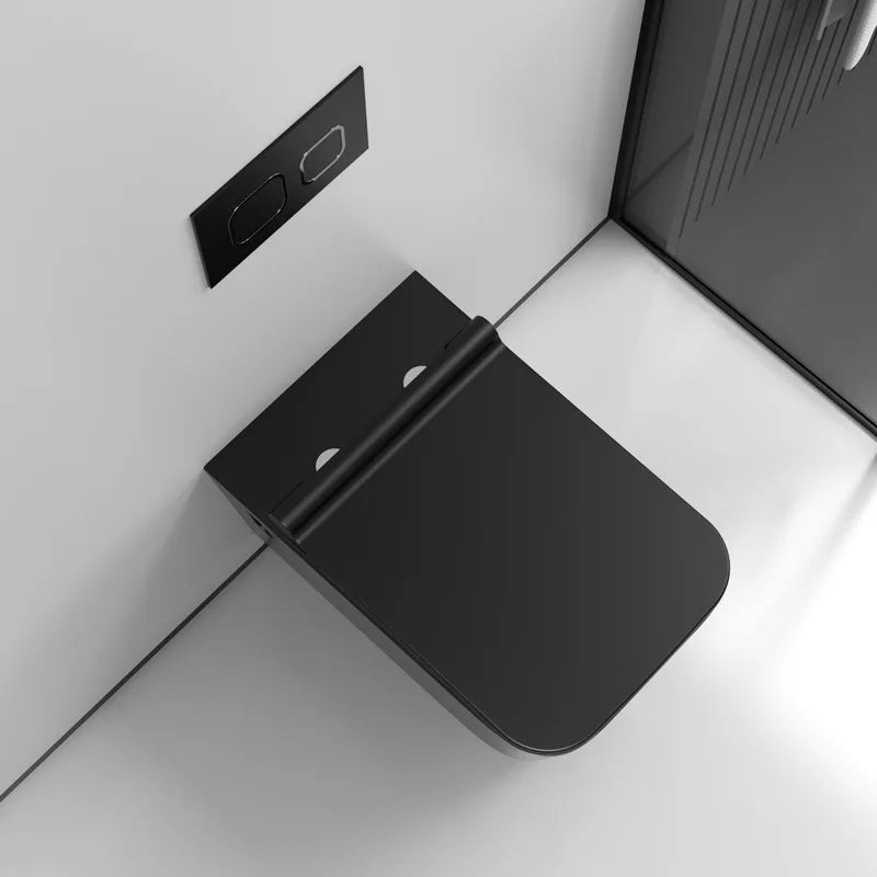 Wall mounted toilet concealed water tank