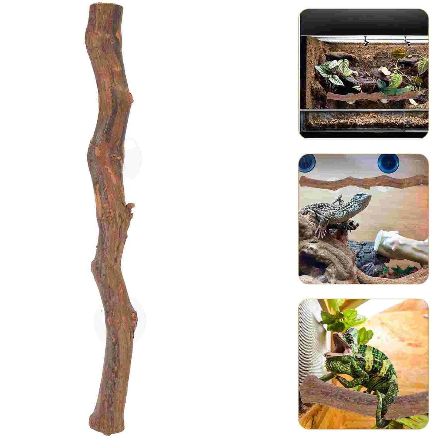 Reptile Tree Branch Lizard Reptile Decoration