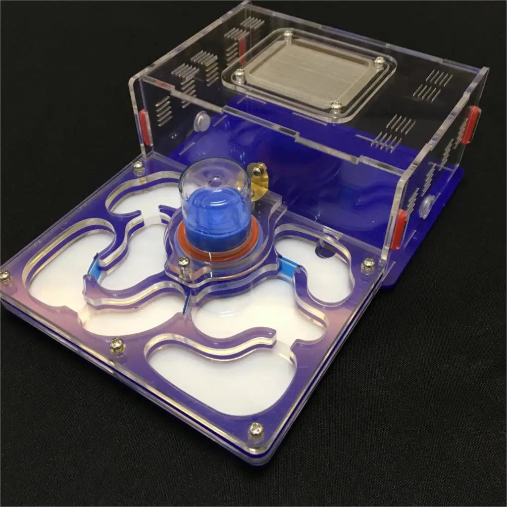 L Size Plane Design 9color Ant Farm Acrylic with Feeding Area