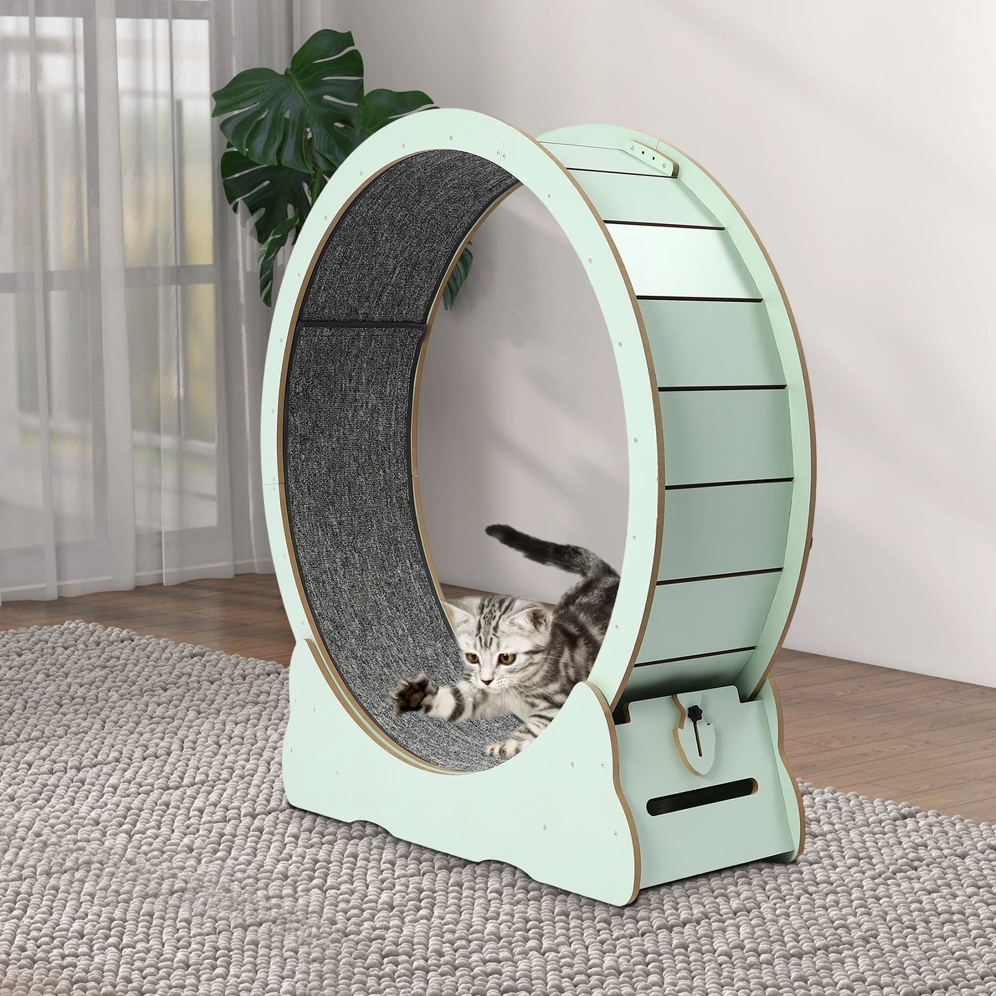 Cat Exercise Wheel for Indoor Cats for 16.53-22.05 Lbs