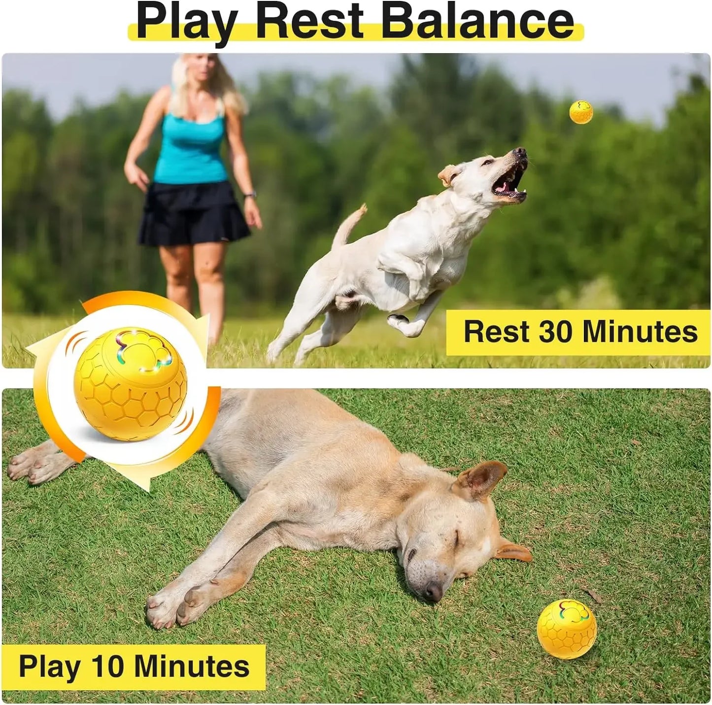 Interactive Smart Pet Ball Toys For Dogs Puppies