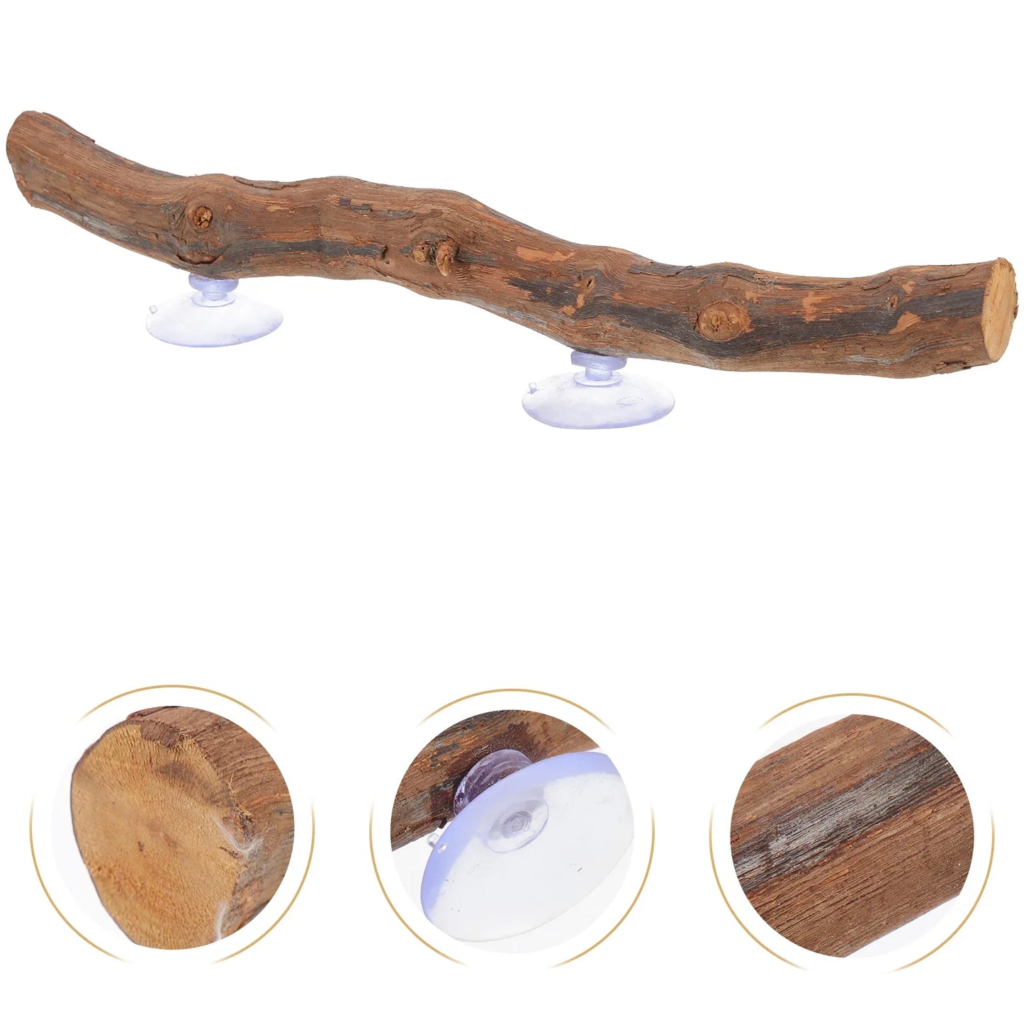 Reptile Tree Branch Lizard Reptile Decoration