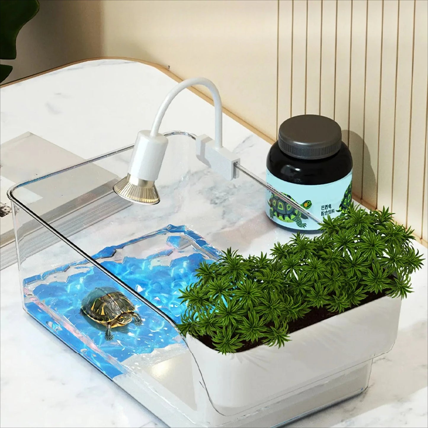 Turtle Tank with Basking Area