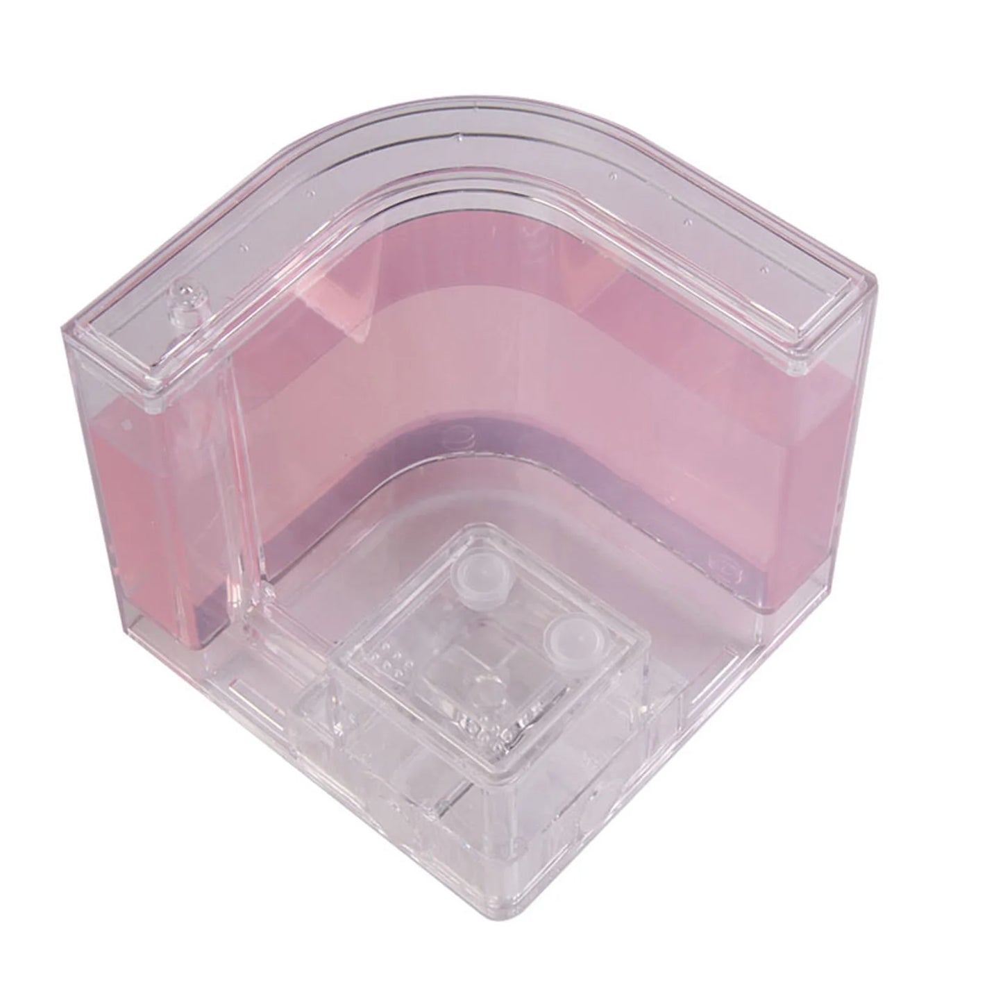 3D Ant Farm Maze Educational & Learning Kit