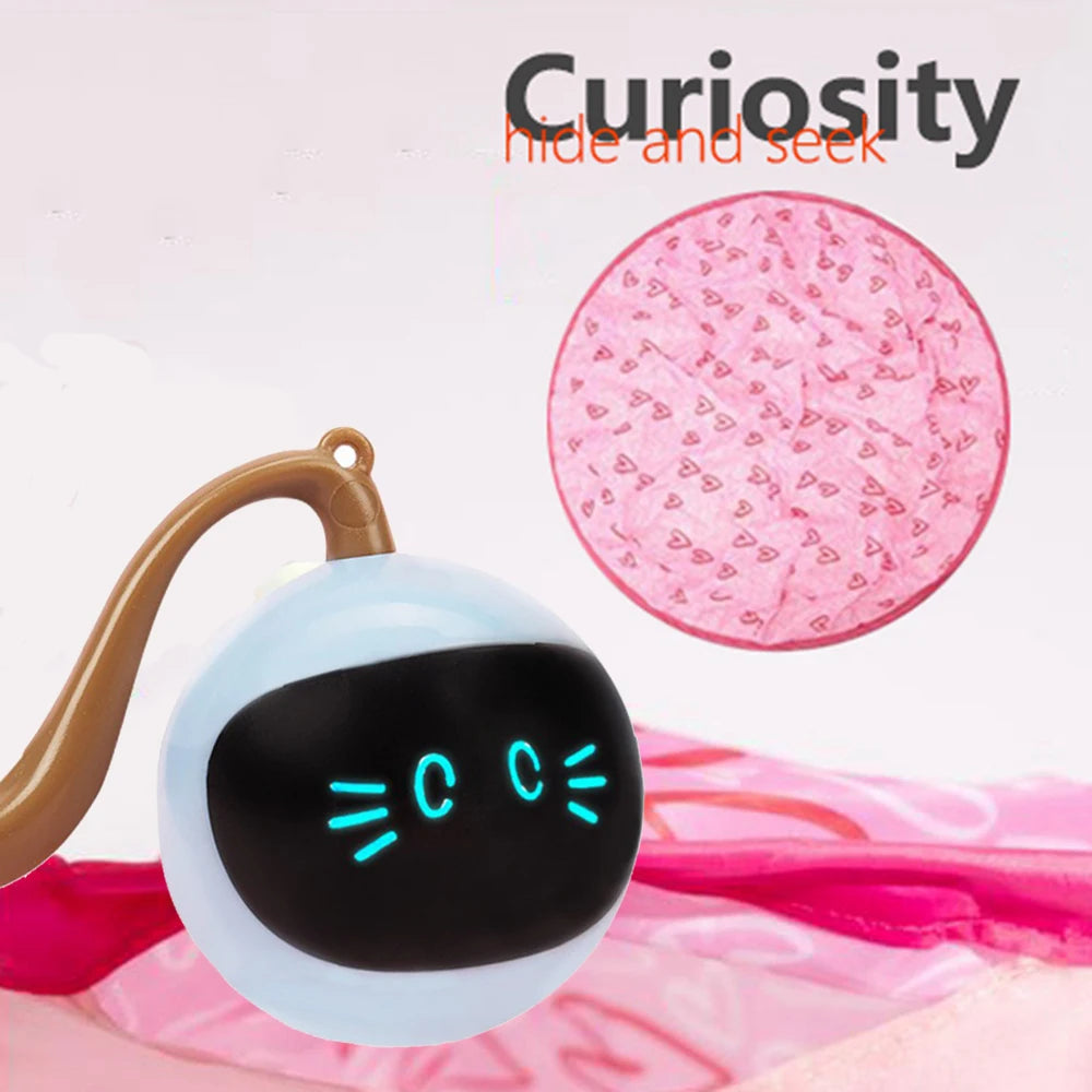 Smart Ball Toys for Cats Kitty Indoor Chase Game