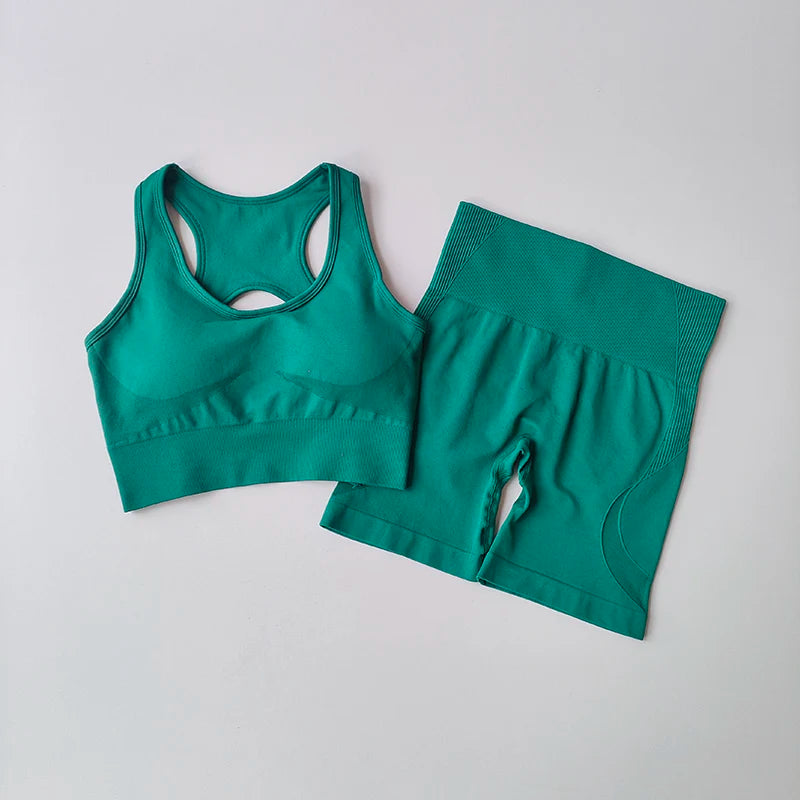 2 PCS Seamless Yoga Set Sexy