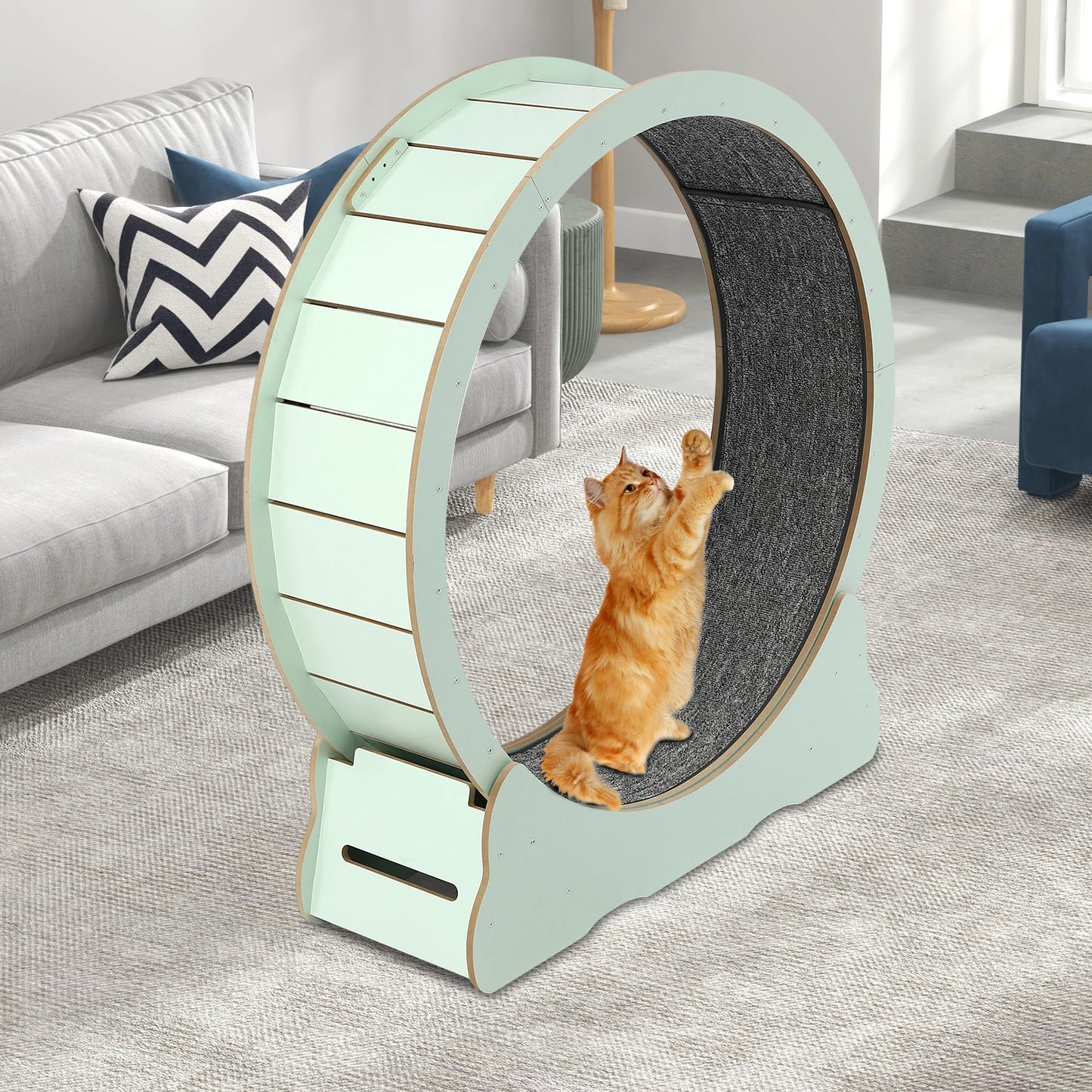 Cat Exercise Wheel for Indoor Cats for 16.53-22.05 Lbs