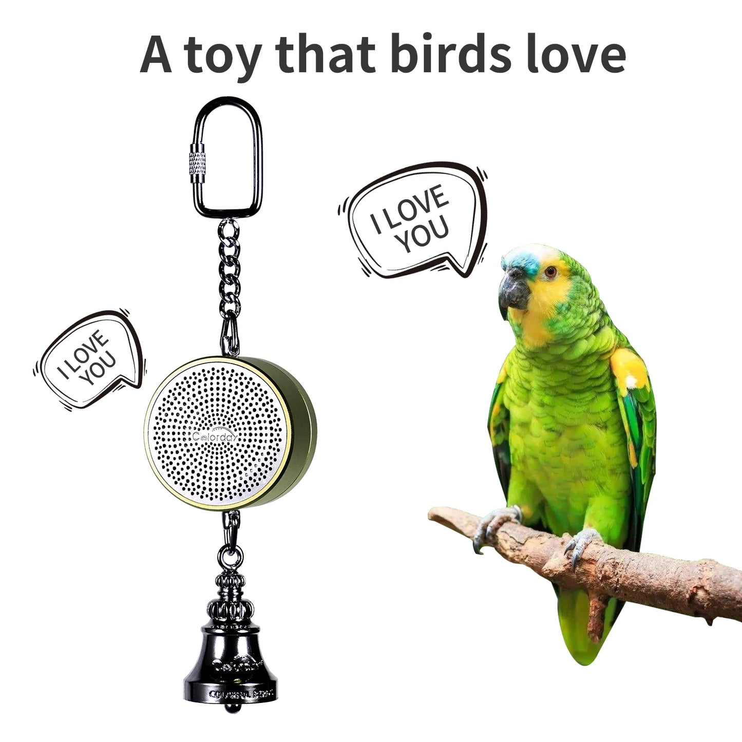 Parrot Toys to Teach Train Bird Talking