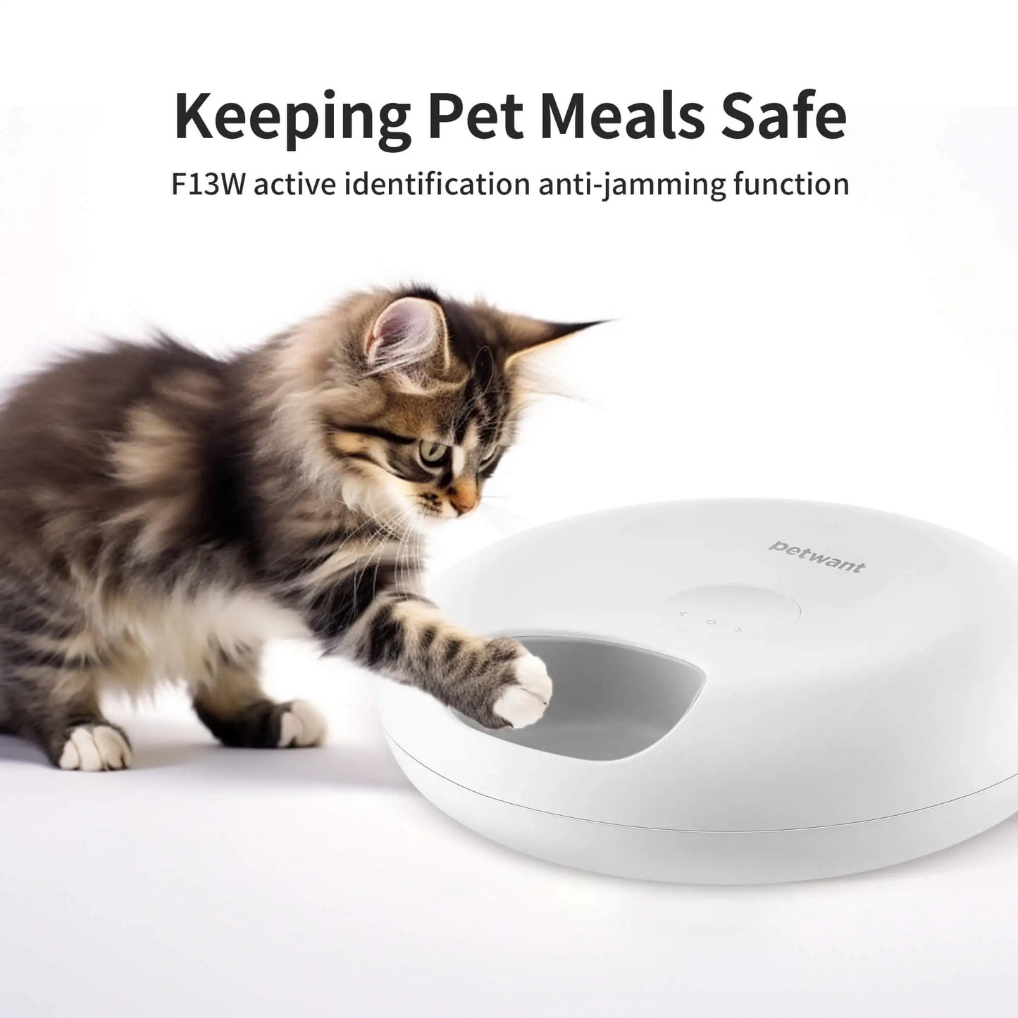 6 Meals Automatic Smart Remote Cat Food Dispenser