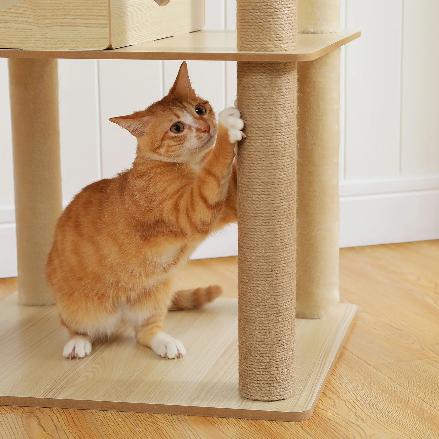Multi-Level Cat Tree with Sisal Scratching Posts