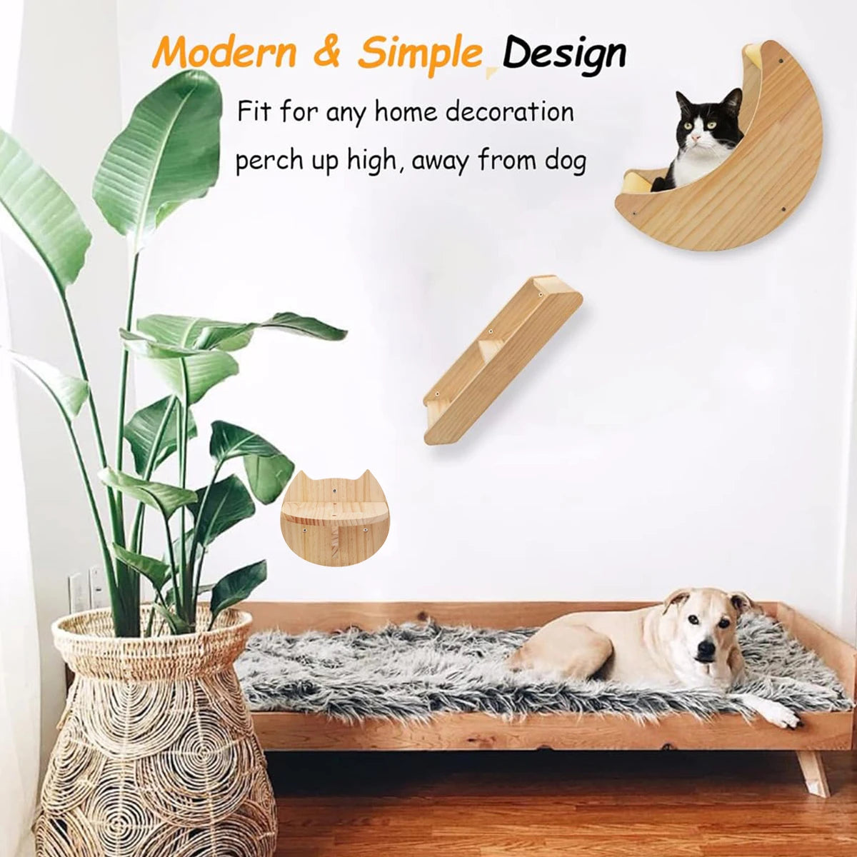 Cat Wall Climbing Shelves Moon Shaped