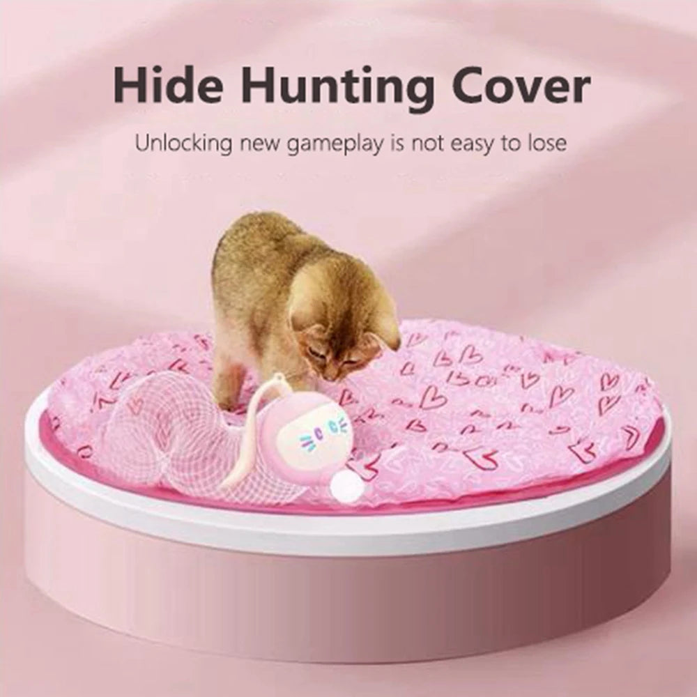 Smart Ball Toys for Cats Kitty Indoor Chase Game