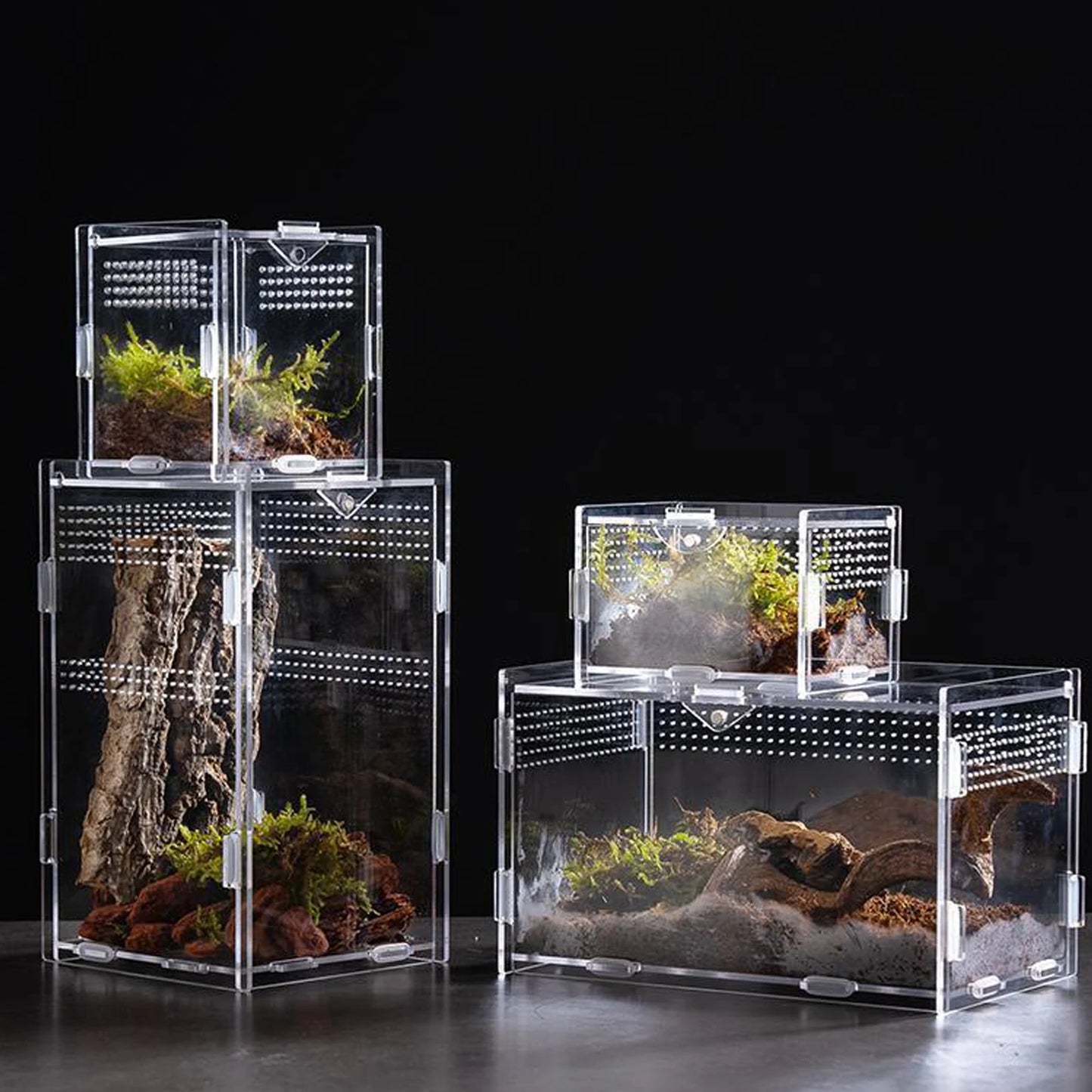 Acrylic Transparent Reptile Terrarium