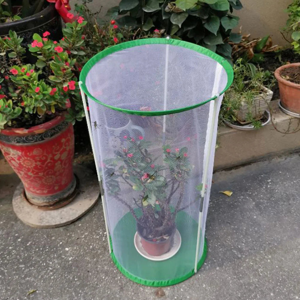 Observation Butterflies Habitat