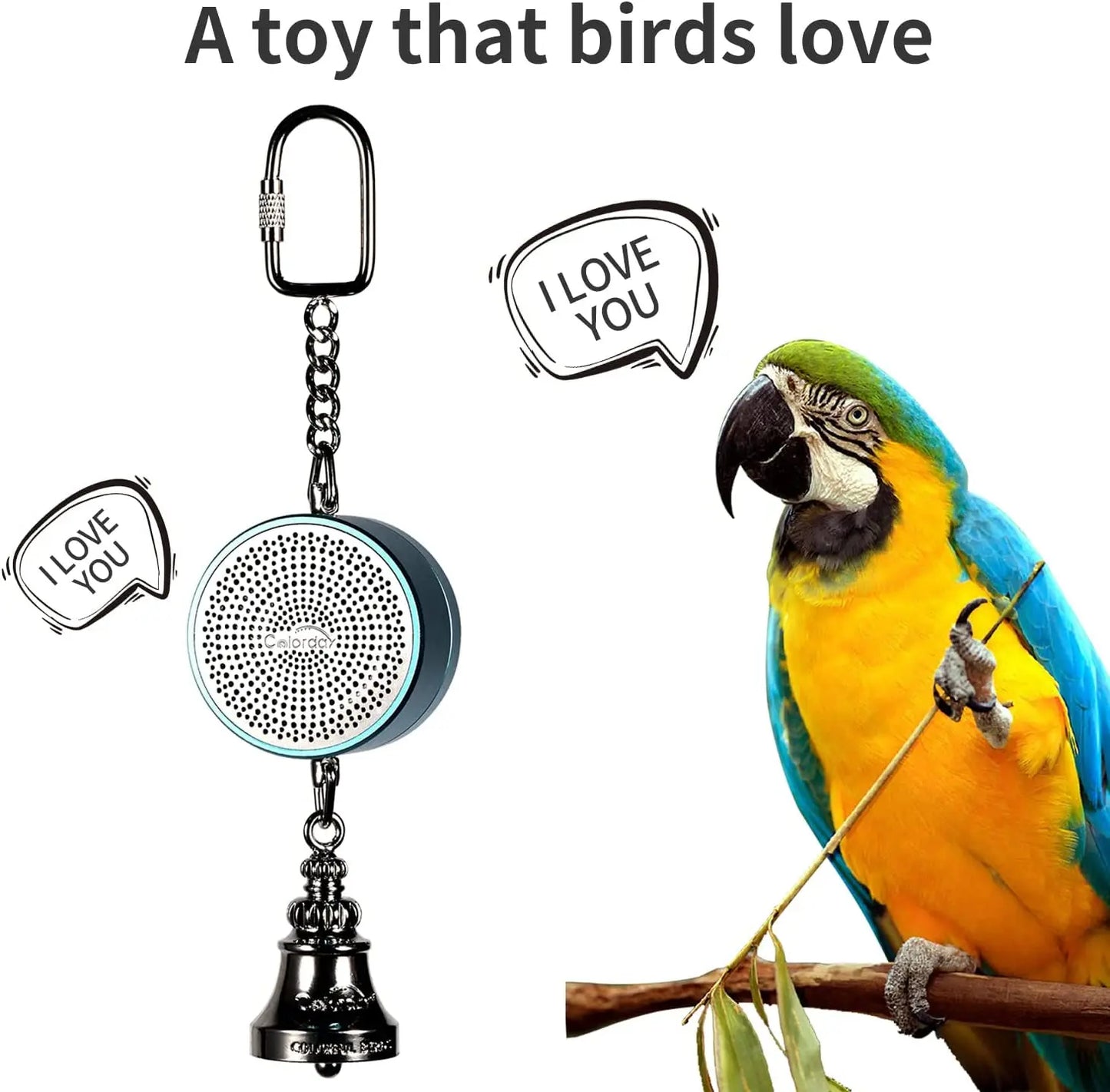 Parrot Toys to Teach Train Bird Talking