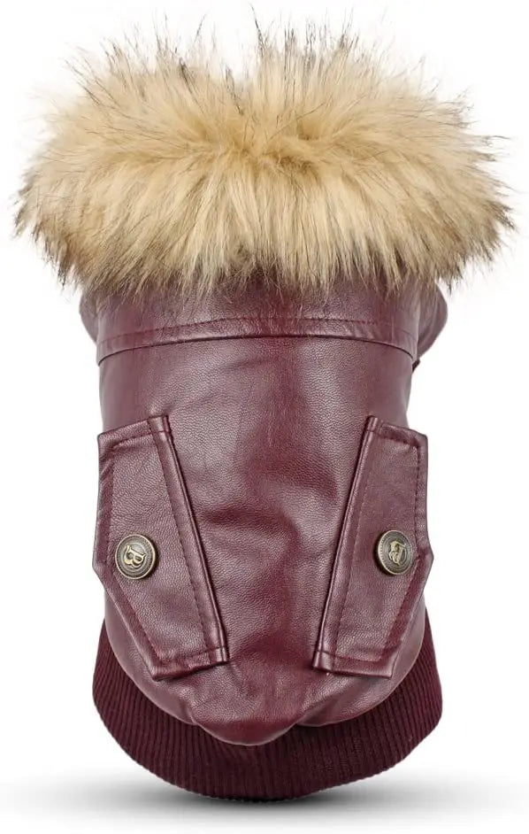 Leather Waterproof Jacket for Small to Medium Dogs