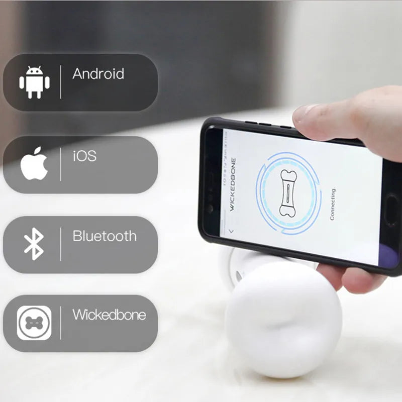 App remote control smart dog toy