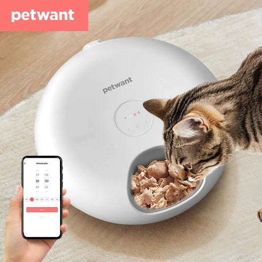 6 Meals Automatic Smart Remote Cat Food Dispenser