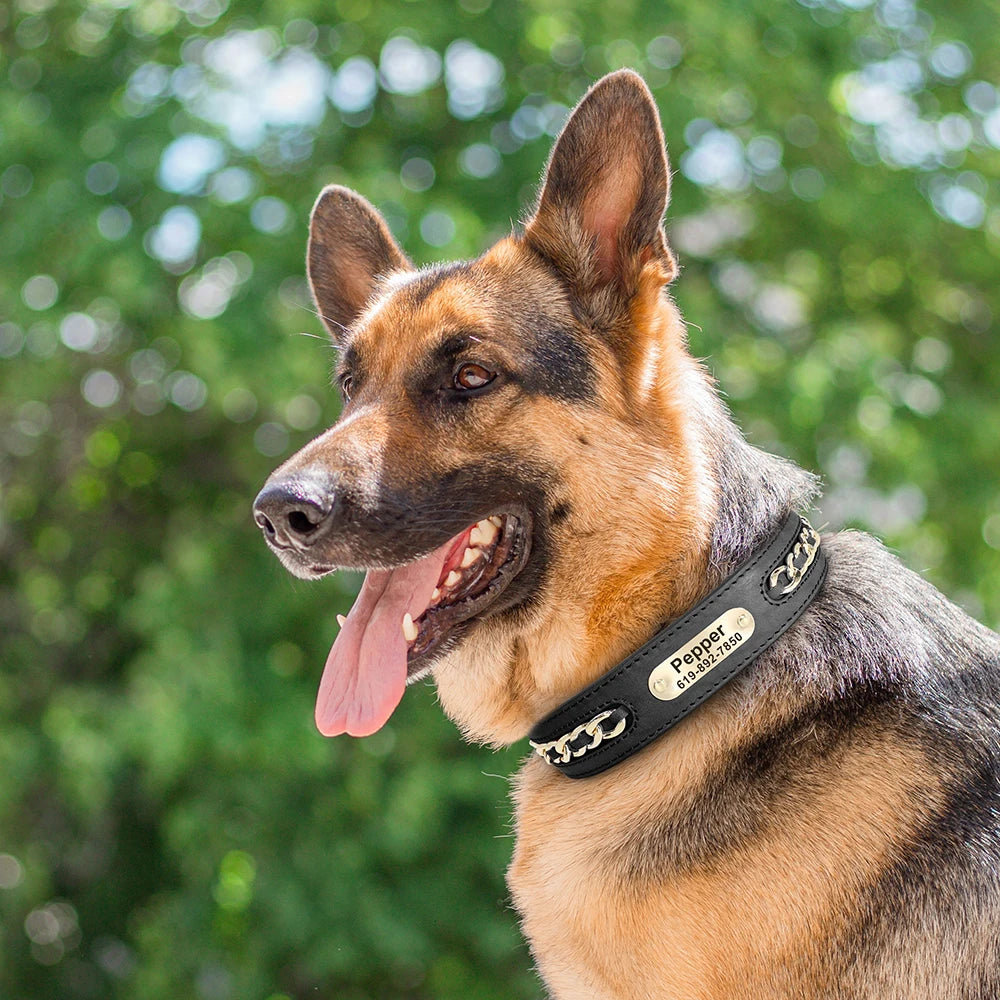 Custom Leather Dog Collar Personalized ID Tag Nameplate