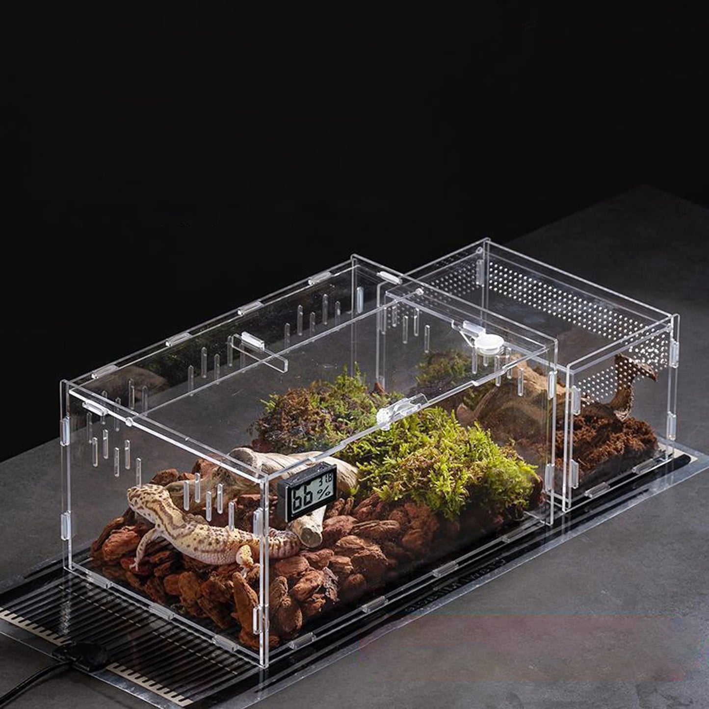 Acrylic Transparent Reptile Terrarium