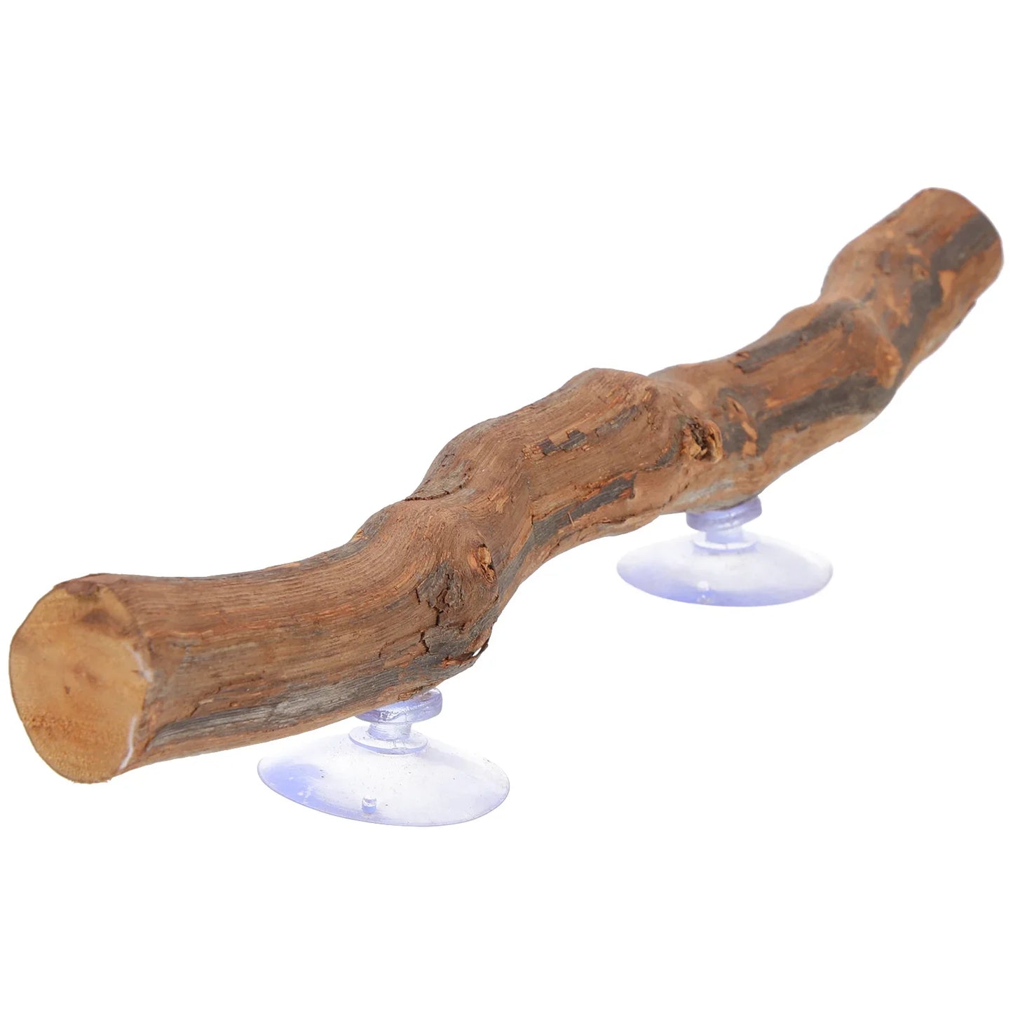 Reptile Tree Branch Lizard Reptile Decoration