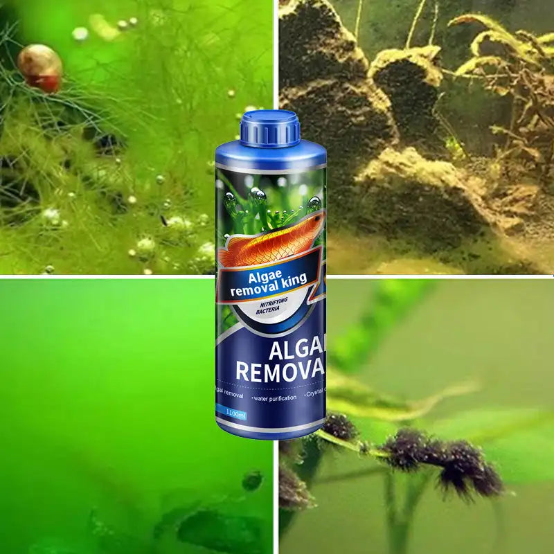 Aquarium Green Aquatic Weed Moss Algae Removal Safe Water Purifier