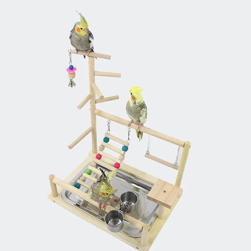Parrot Playstand Gym Feeder Exercise Activity Center