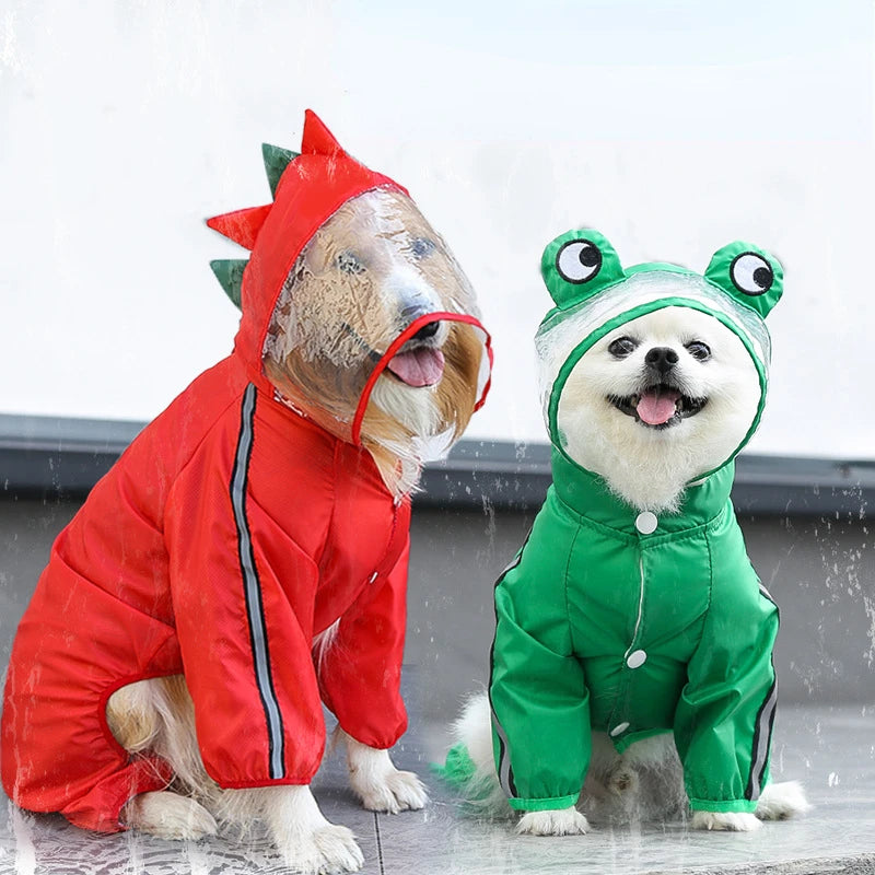 Fashion 3D Dinosaur Frog Style Raincoats