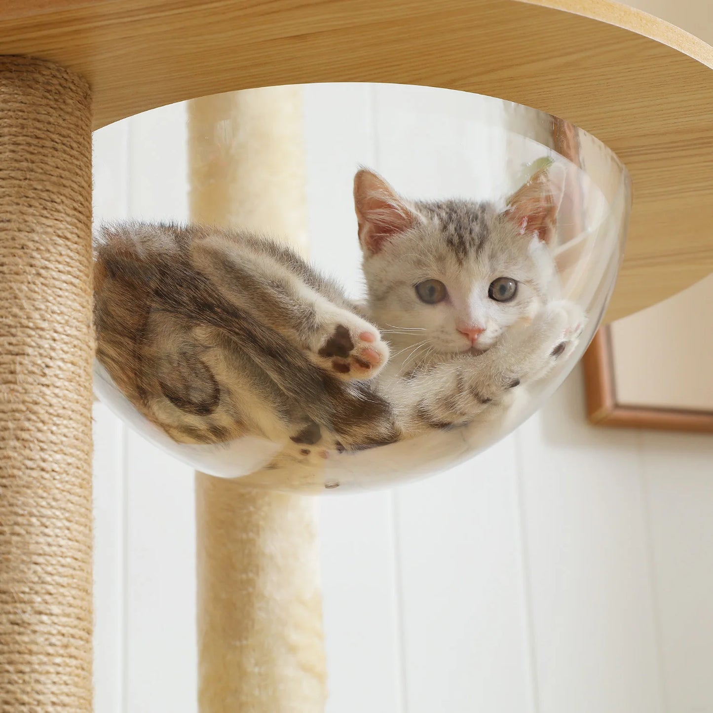 Multi-Level Cat Tree with Sisal Scratching Posts