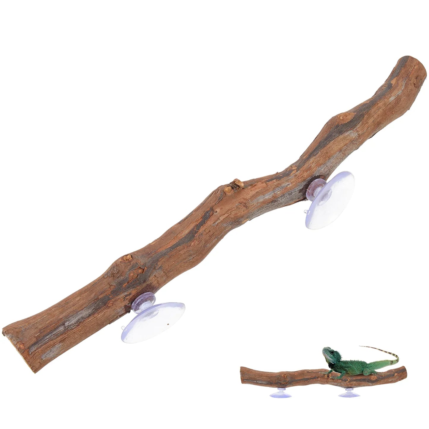 Reptile Tree Branch Lizard Reptile Decoration