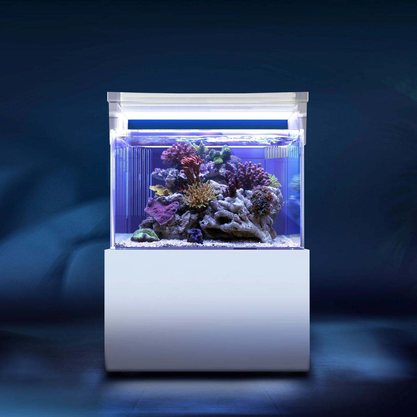 All-in-One Desktop Mini Acrylic Reef Aquarium