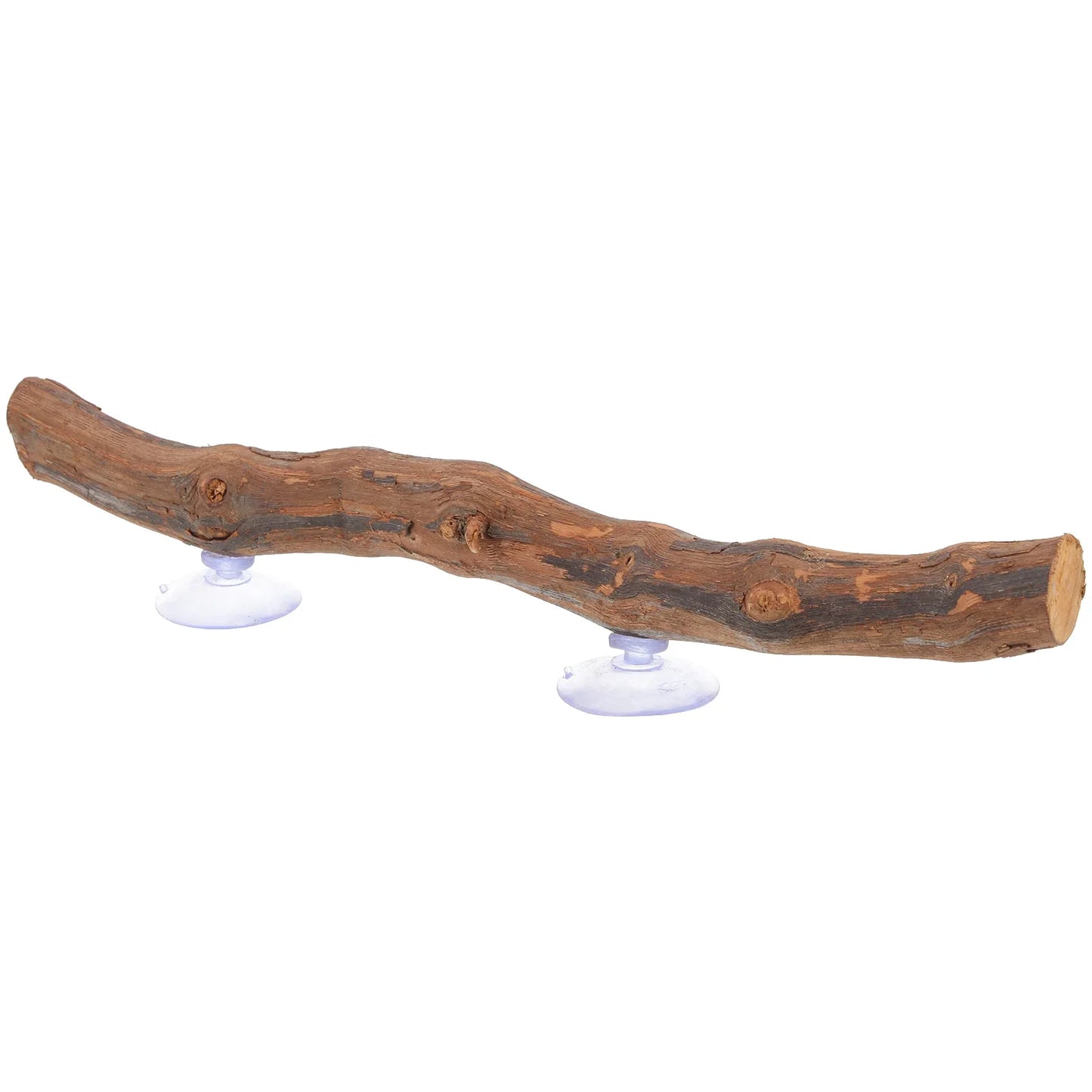 Reptile Tree Branch Lizard Reptile Decoration