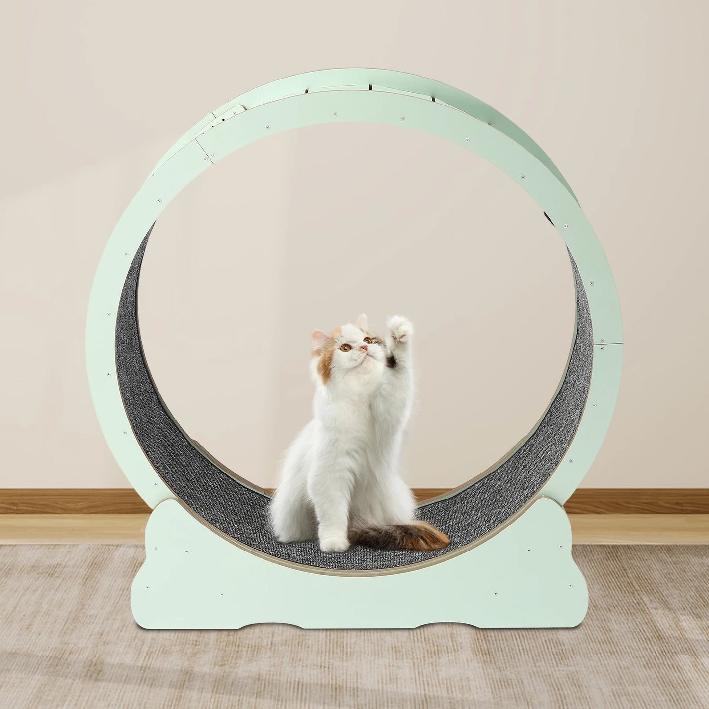 Cat Exercise Wheel for Indoor Cats for 16.53-22.05 Lbs