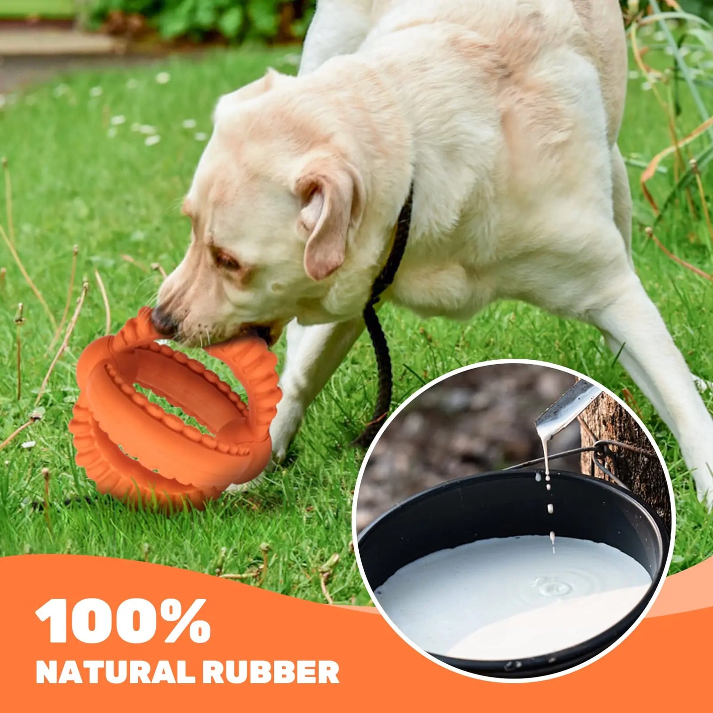 Interactive Dog Toys Detachable Dog Tug of War