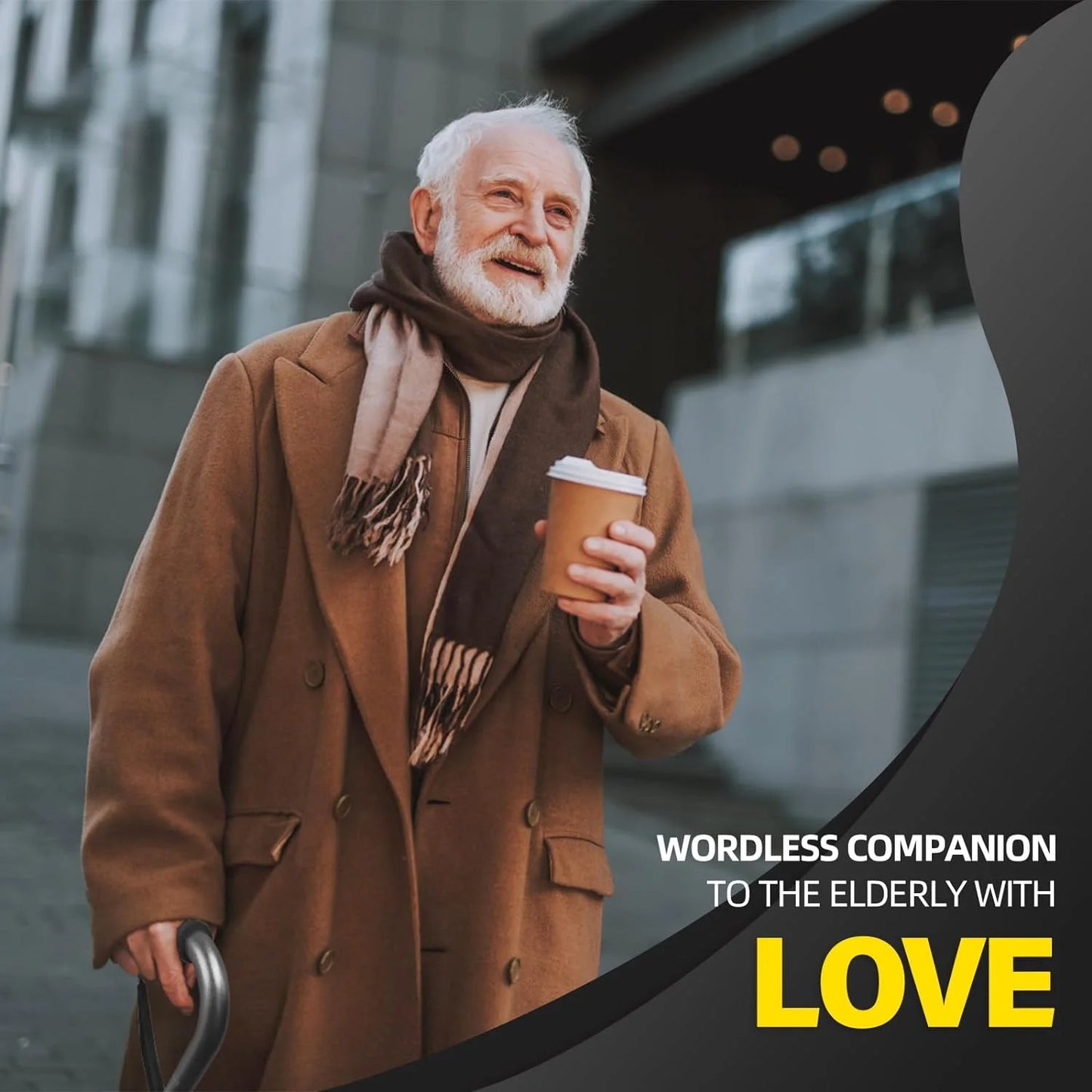 Lightweight Sturdy Mobility Walker Aid for Seniors