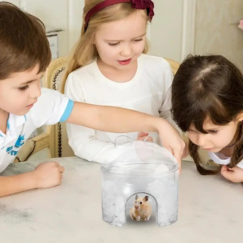 Cooling House Small Animal Rest Ice Nest Hollowed-out Design