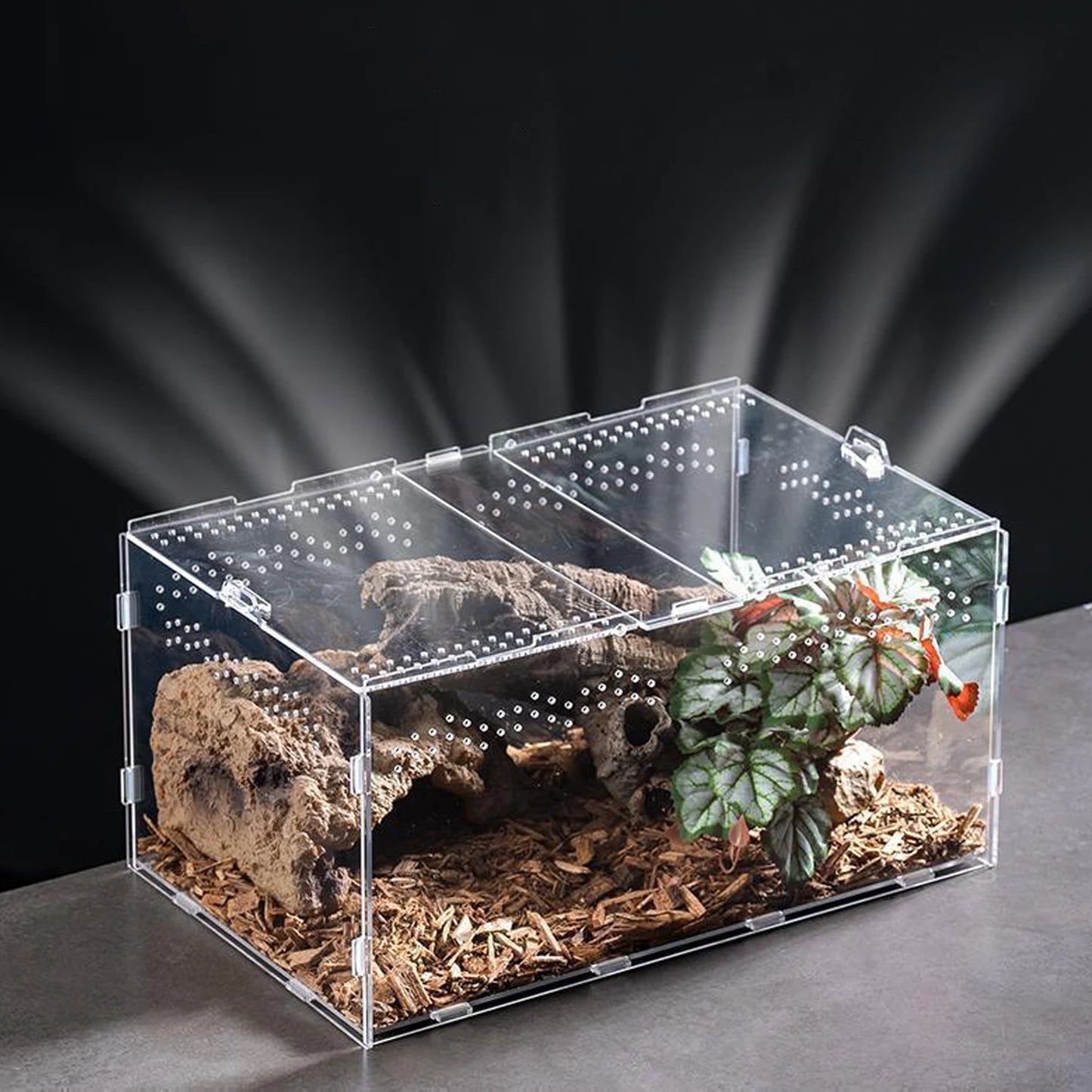 Acrylic Transparent Reptile Terrarium