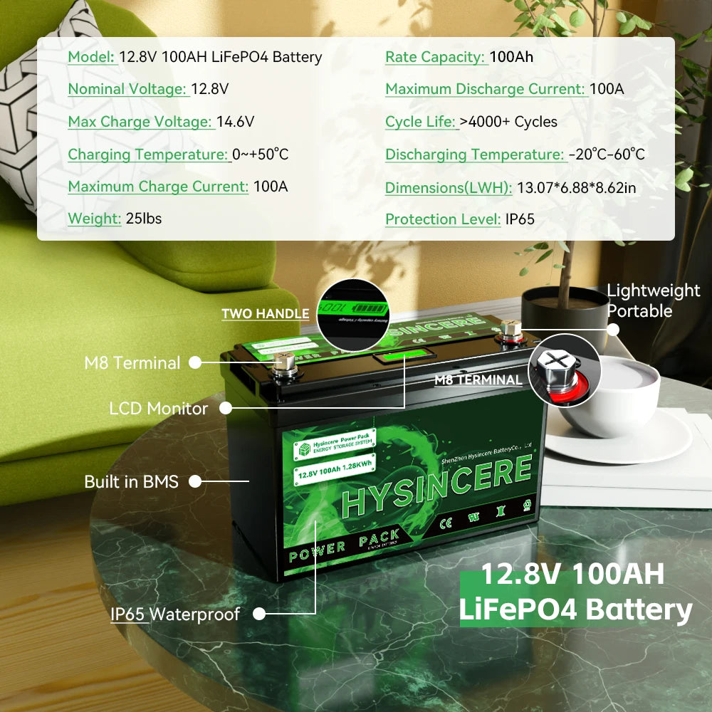 LiFePo4 Battery 12V 100AH Pack Lithium Iron Phosphate Batteries