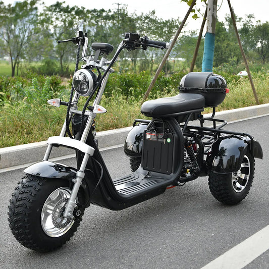 Citycoco Adult Electric 3 Wheel Scooter