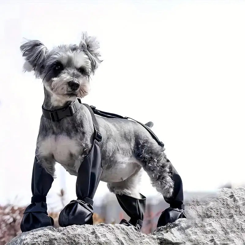 Dog Shoes Waterproof Adjustable Dog Boots