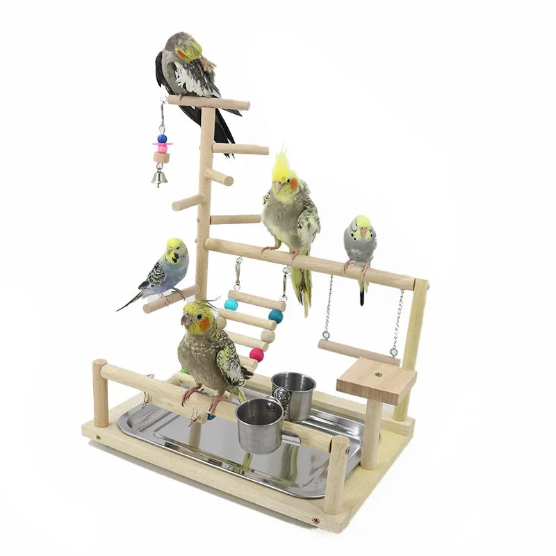 Parrot Playstand Gym Feeder Exercise Activity Center