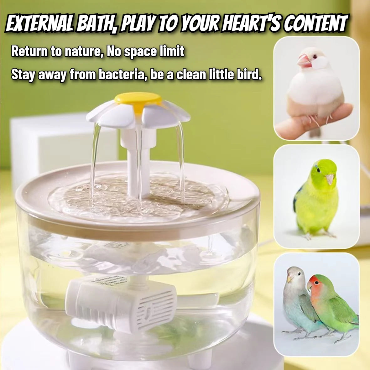 Auto Circulating 2-in-1 Parrot Bath & Water Fountain