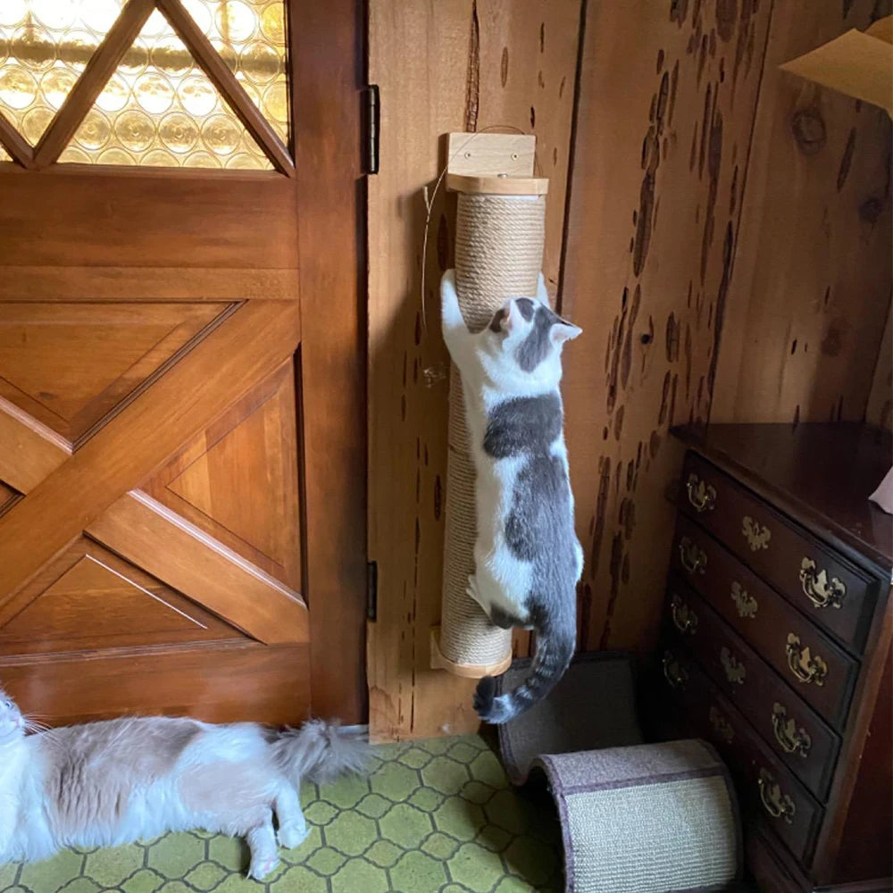 Wall-Mounted Climbing Shelves Cat Furniture