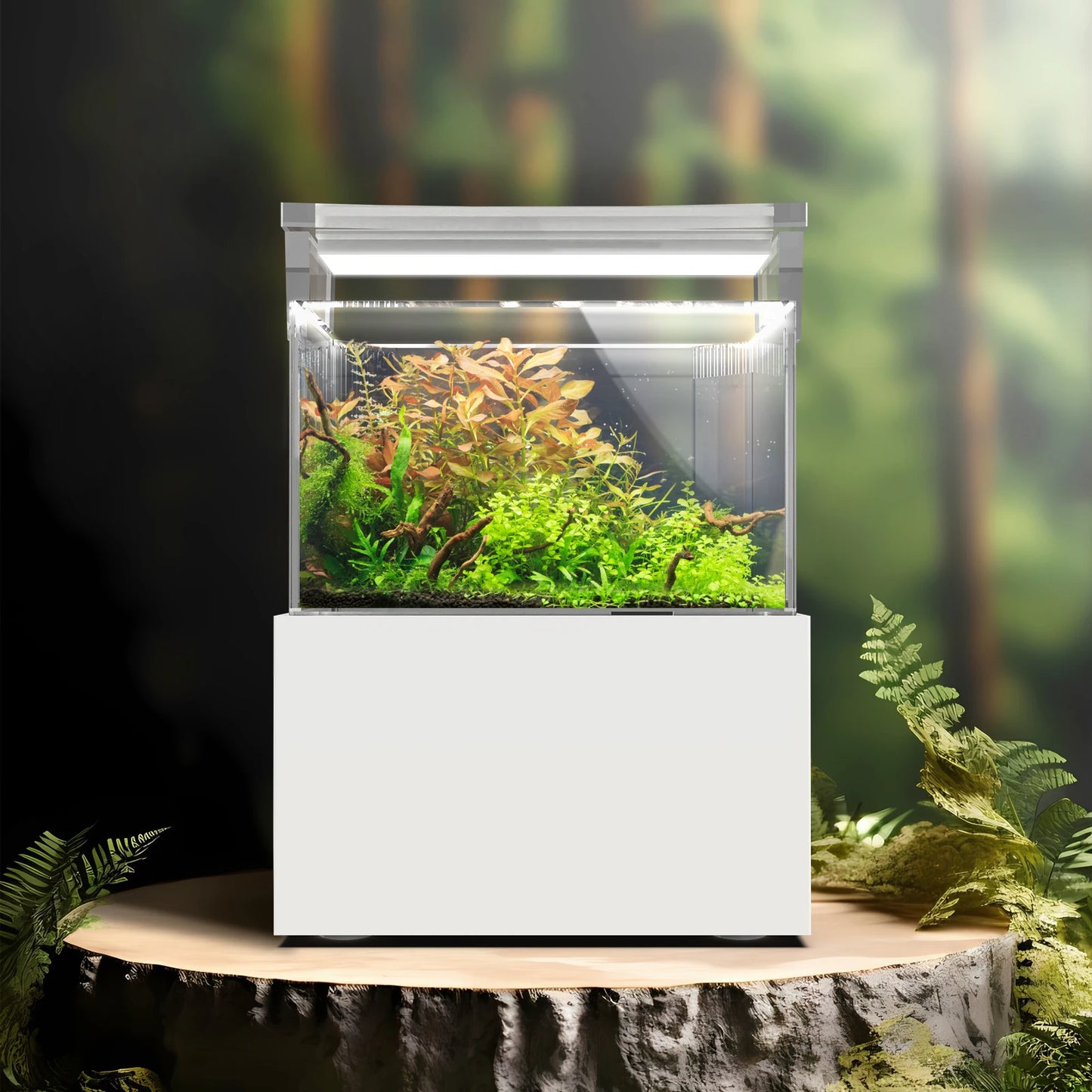 All-in-One Desktop Mini Acrylic Reef Aquarium