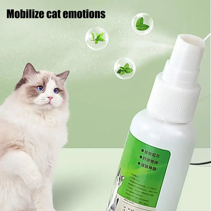 50ml Cat Catnip Spray Natural Healthy Safe