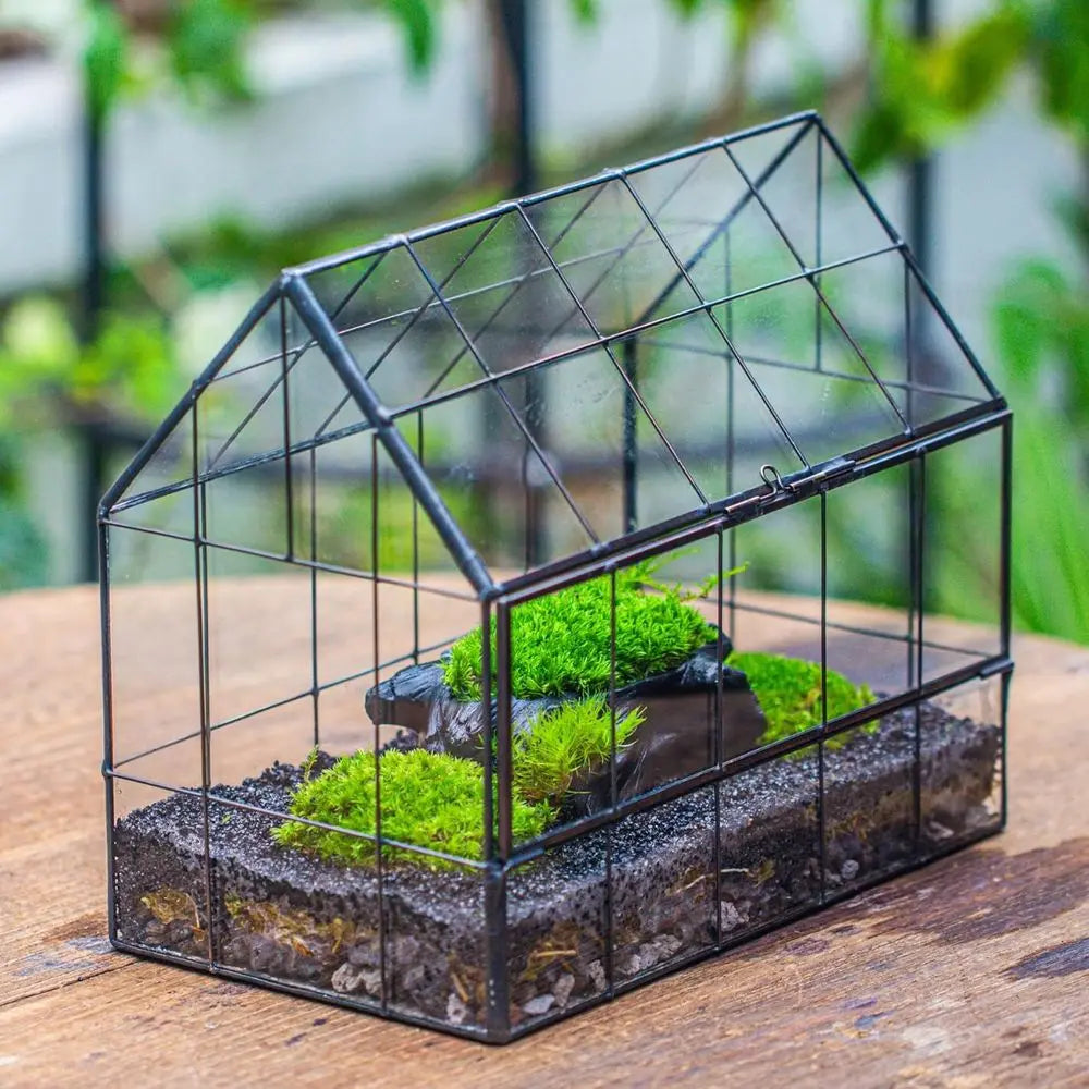 Geometric Glass Terrarium with Front Opening Door